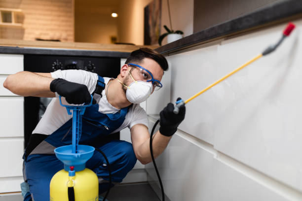 Best Pest Control Near Me  in Lincoln Park, MI