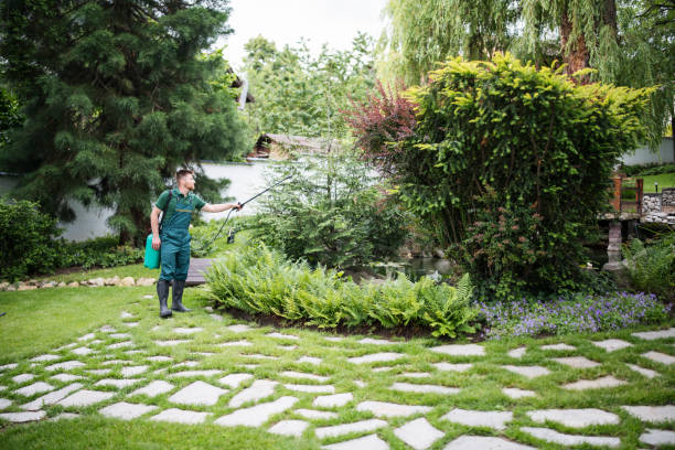 Best Wildlife Control Services  in Lincoln Park, MI