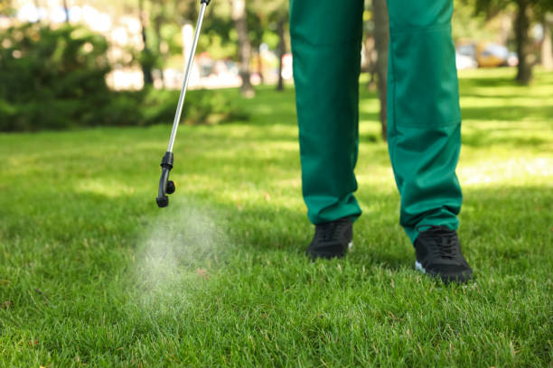 Best Wasp Removal Services  in Lincoln Park, MI