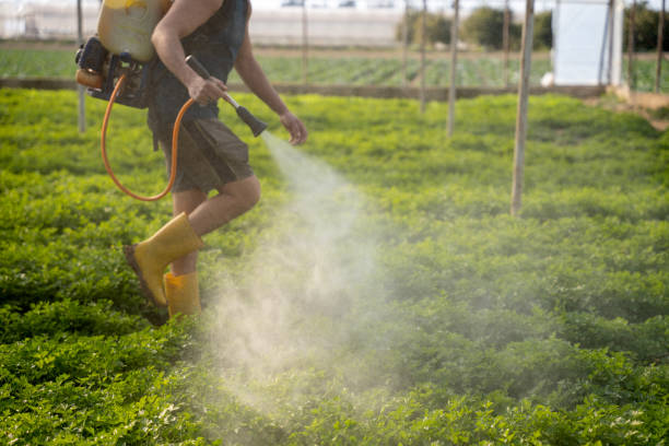 Reliable Lincoln Park, MI Pest Control Solutions