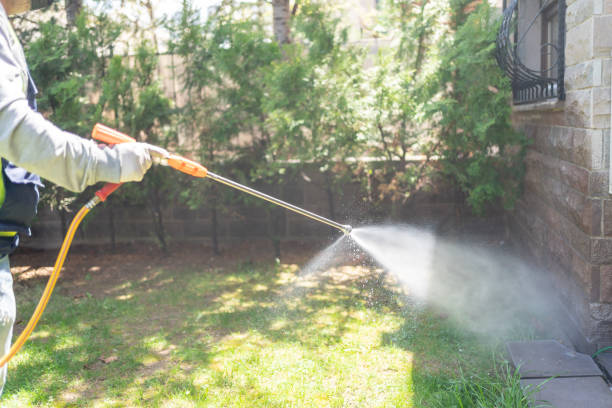 Best Pest Control Near Me in Lincoln Park, MI