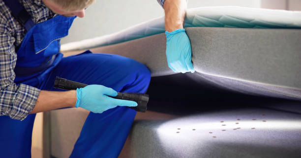 Flea Control Services in Lincoln Park, MI