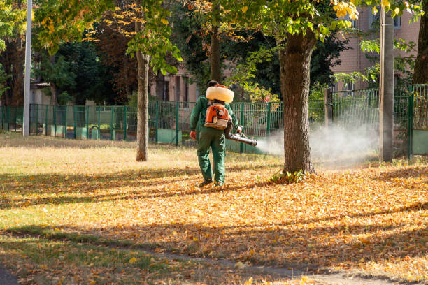 Best Cockroach Control Services  in Lincoln Park, MI