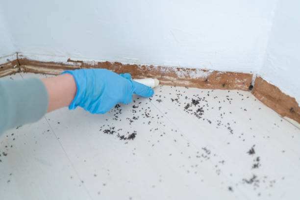 Best Exterminator Services  in Lincoln Park, MI