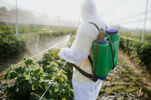 Best Wasp Removal Services  in Lincoln Park, MI